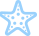 star_icon star_icon